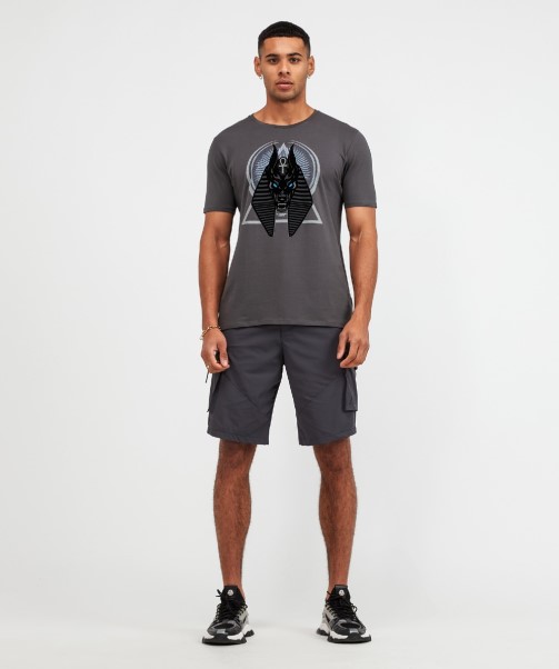 Asphalt Zavetti Canada Aranova 2.0 Woven Cargo Short